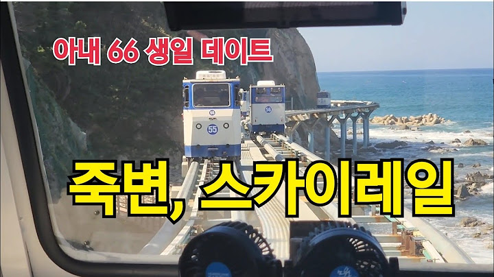 #역이민 한국에서 처음 맞는 아내 생일 #스카이레일 타보고 울진 대게도 먹고...!! 