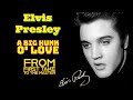 Elvis Presley - A Big Hunk O