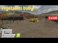 FS25 LIVE - Multiplayer Night! Potatoes, Veggies, and Grass