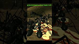 FEED LARVA PART 02 #shorts screenshot 4