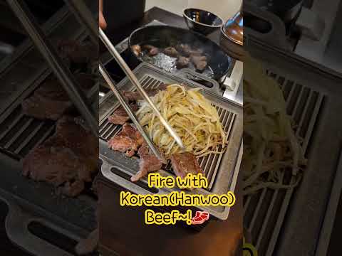 Korean Style Beef Barbecue/ 韓国風牛肉バーベキュー/ 韩式牛肉烧烤/ कोरियाई स्टाइल बीफ़ बारबेक्यू