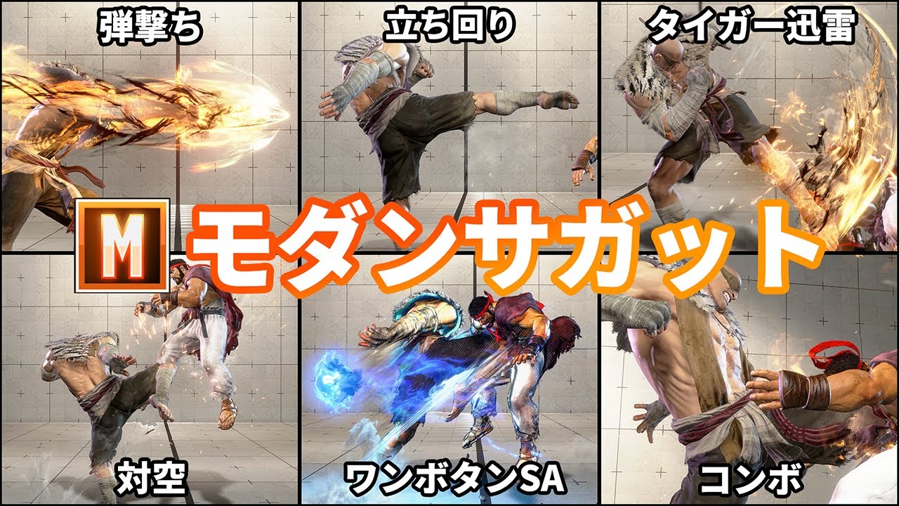 モダンサガットの教科書【モダン適性〇】