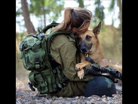 ჯარისკაცი ძაღლი უკრაინის ბრძოლის ველზე (ქართულად)