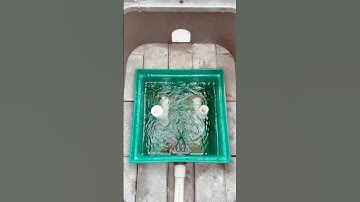 3 Steps to Developing a Mountain Spring Part 2 #idaho #homestead #water #source