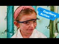 Capillary Action Song! 🎵 | Sharon’s Super Science