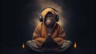 (Jungle DUTCH) Sudah tau MISKIN,Masih aja pergi PARTY(LANCAU),Tinggi Lagee