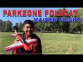 No AS3X. No SAFE SELECT. No Problem! - 2011 PARKZONE UM POLECAT