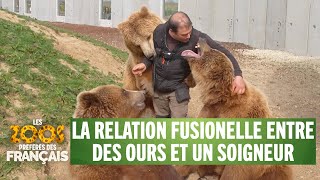 Des ours prennent un soigneur pour leur papa - Les zoos préférés des Français