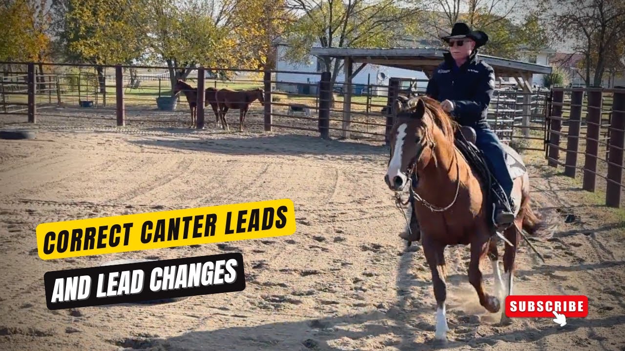 TEACH YOUR HORSE LEAD CHANGES AND CORRECT CANTER LEADS YouTube