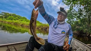 Pesca de Dormilones y Mojarritas en un Río Encantador