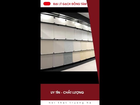 CÁC MẪU GẠCH ĐỒNG TÂM 6060 MEN MỜ