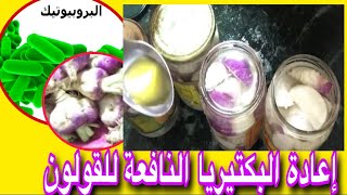 مخلل اللفت البروبيوتيك إعادة البكتيريا النافعة القولون والانتفاخات Return the beneficial bacteria