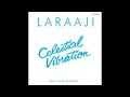 Laraaji (Edward Larry Gordon) Celestial Vibration (full album)