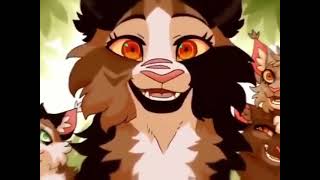 Sad MapleShade Edit [Warrior Cats]