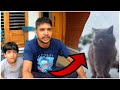 We lost our cat | അവസാനം CCTV ക്യാമറയിൽ കണ്ട കാര്യം !