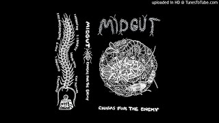 Midgut -  Chagas for the Enemy (2017 // Full Album)