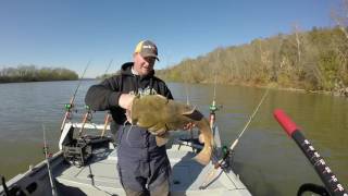 Basic fall flathead catfishing tips
