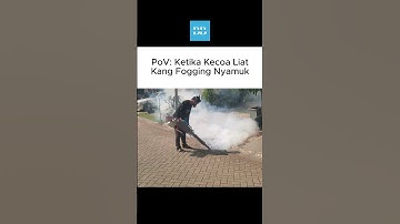 Thumbnail of Ketika salah target, dan kecoa jadi korban fogging nyamuk #buynbuy #basf #pestisida #pembasmihama