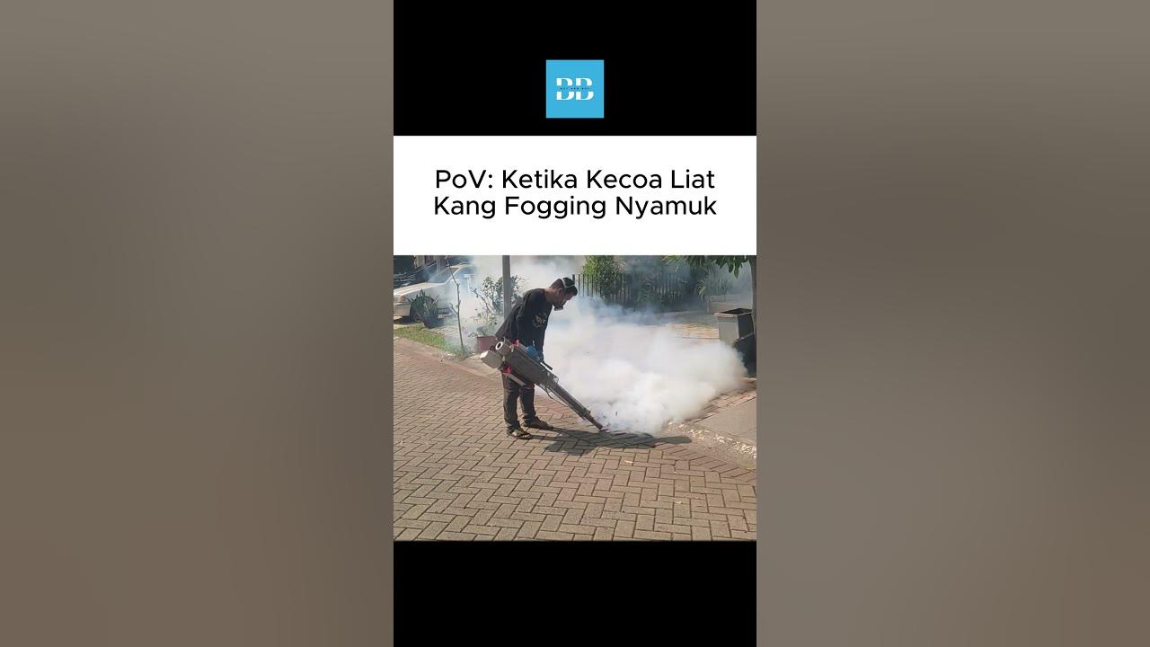 Ketika salah target, dan kecoa jadi korban fogging nyamuk #buynbuy #basf #pestisida #pembasmihama
