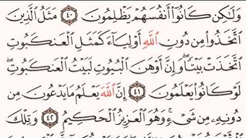 الصفحة رقم 401 الشيخ ماهر المعيقلي - القرآن الكريم - Quran
