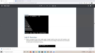 Lab 6 : DUP Operator and Arrays in Assembly Language Part 1 COAL-106355