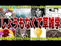 【おならの平均速度は時速○キロ】しょうもなさすぎて草な雑学10選