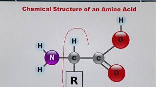 Topic 16 (BIF401 - Bioinformatics I)
