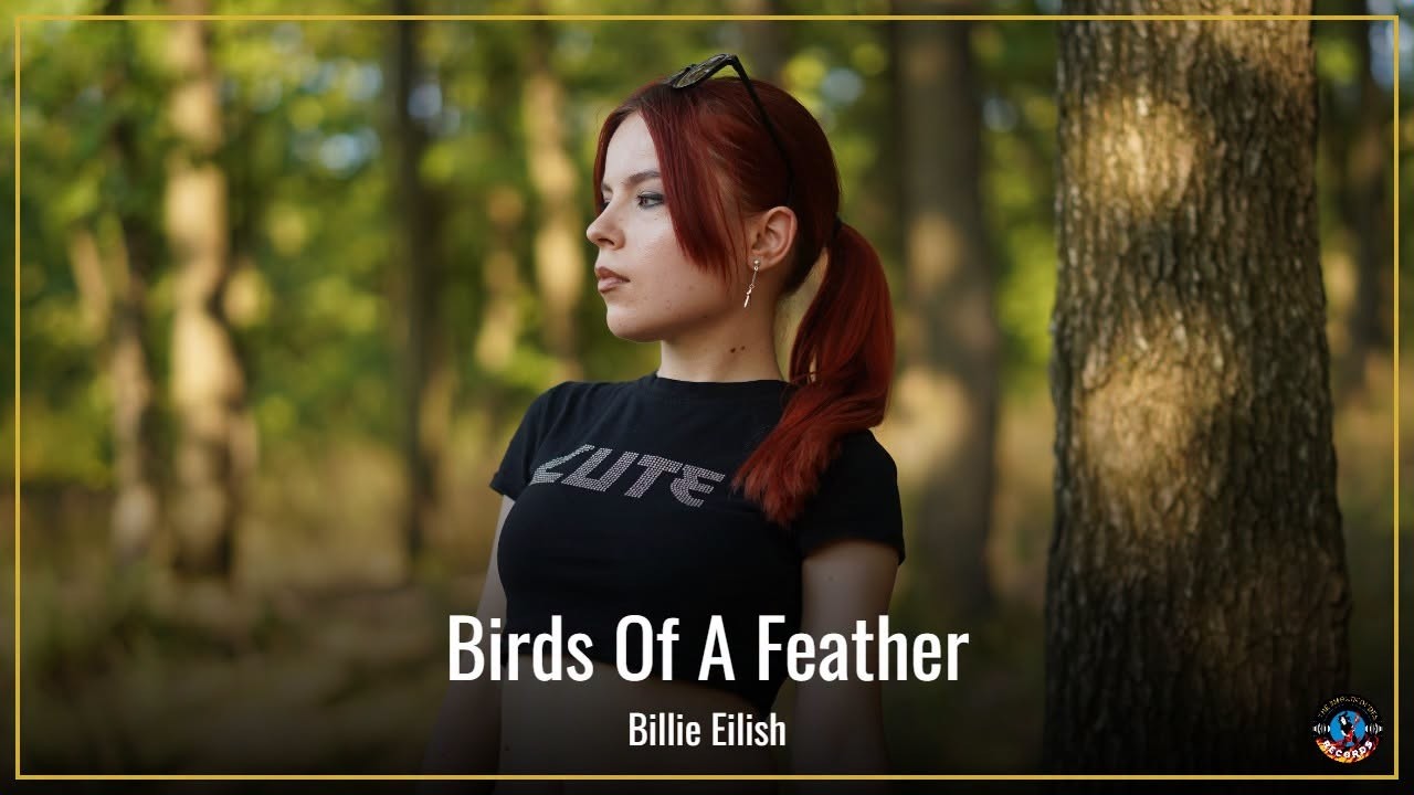 Birds Of A Feather - Billie Eilish (by Andreea Munteanu)