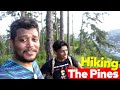 Best views in trinidad   the pines  chancellor hill hike