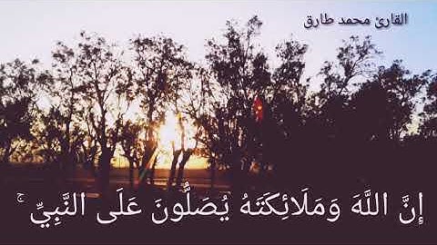 سورة الاحزاب  القارئ محمد طارق