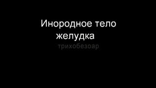 Трихобезоар у гладкошерстной собаки. Трихобезоар у гладкошерстной собаки.