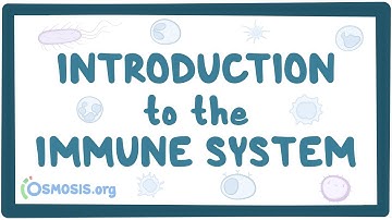 Introduction to the immune system
