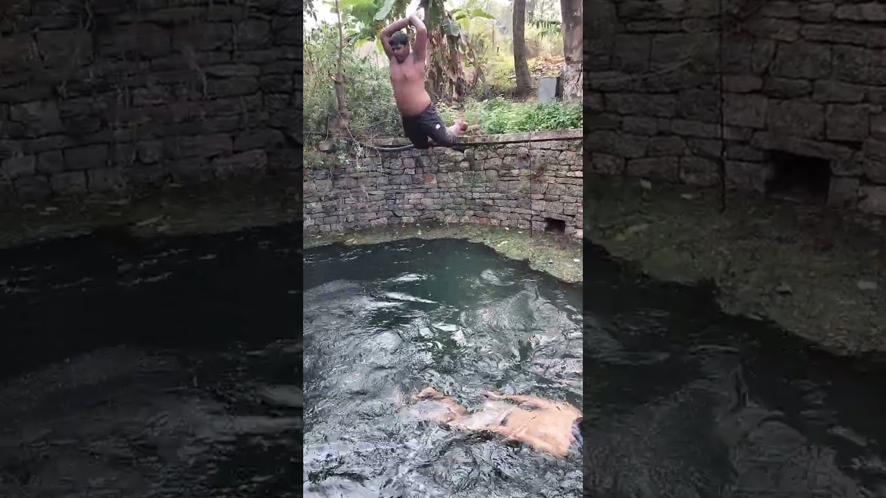 Swimming January 2026 