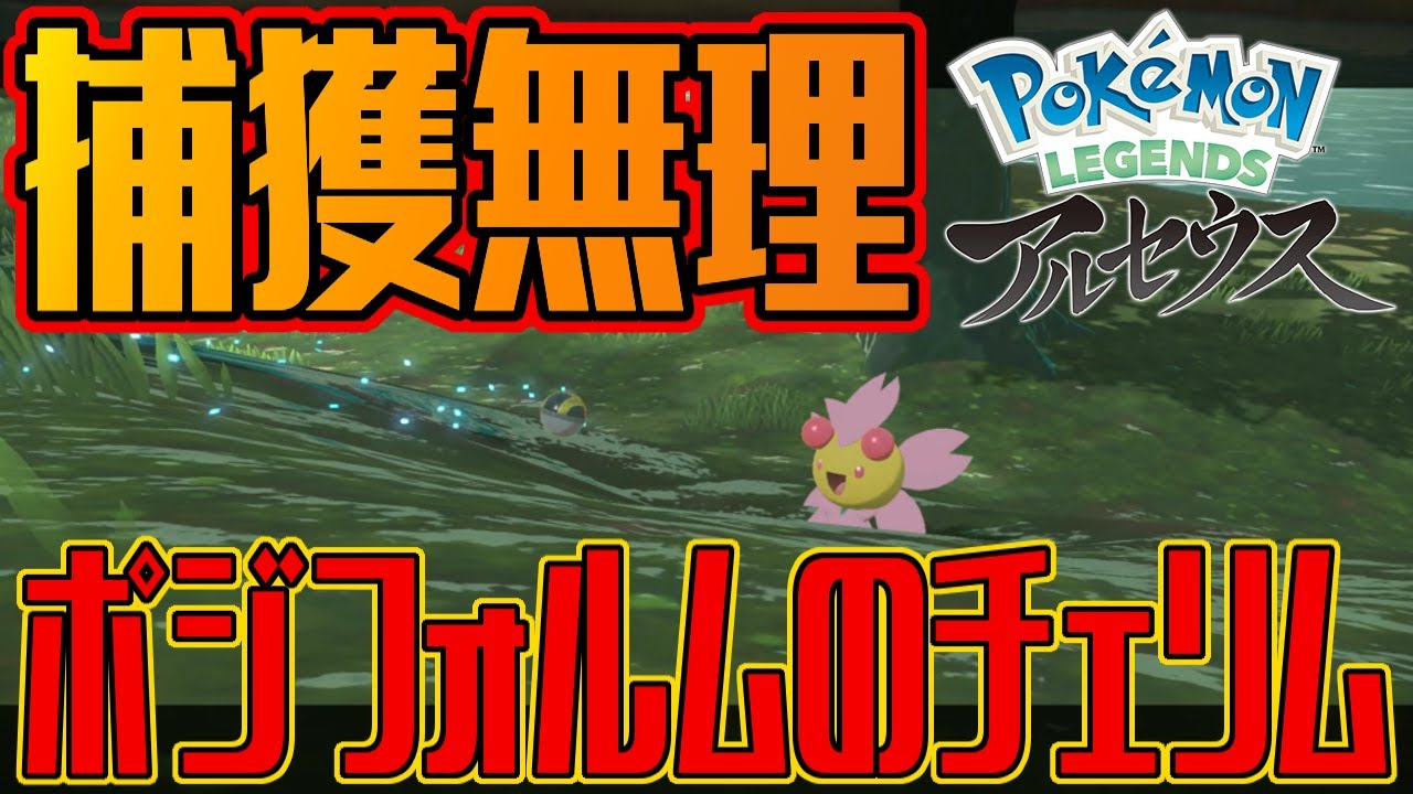 ポケモンアルセウス ポジフォルムのチェリムが本当に捕まらないか検証してみよう アップデート後は不具合修正済み Pokemon Legends アルセウス Youtube