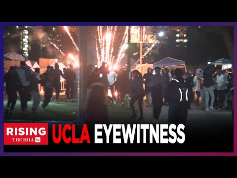 Unbelievably Dangerous' Israel-Palestine Protests Explode At Ucla: Journalist On The-Ground