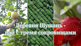 Китайская деревня Шушань: Рай с тремя сокровищами и горячими источниками