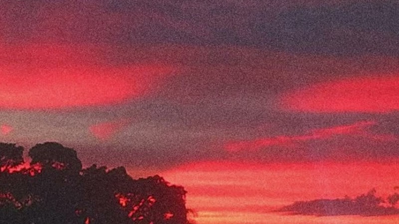 [Free] Rxseboy X Powfu Lofi Type Beat - "Sundown"