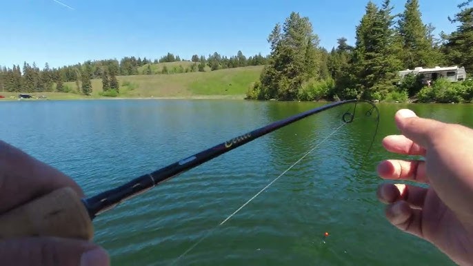 Fishing With The PHENIX ELIXIR Ultralight Rod! 