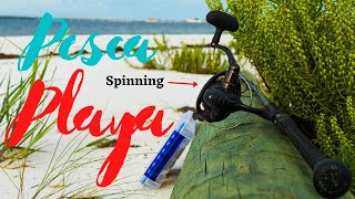 Pesca Desde Playa , Florida Usa Spanish Mackarel