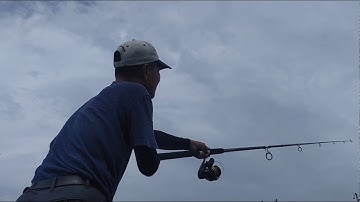 Cần câu cá Bông Lau huyền thoại một thời | Sông Nước Cần Giờ - Châu Huỳnh.