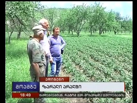 ადიგენის მოსახლეობა ხელისუფლებას უყურადღებობაში ადანაშაულებს
