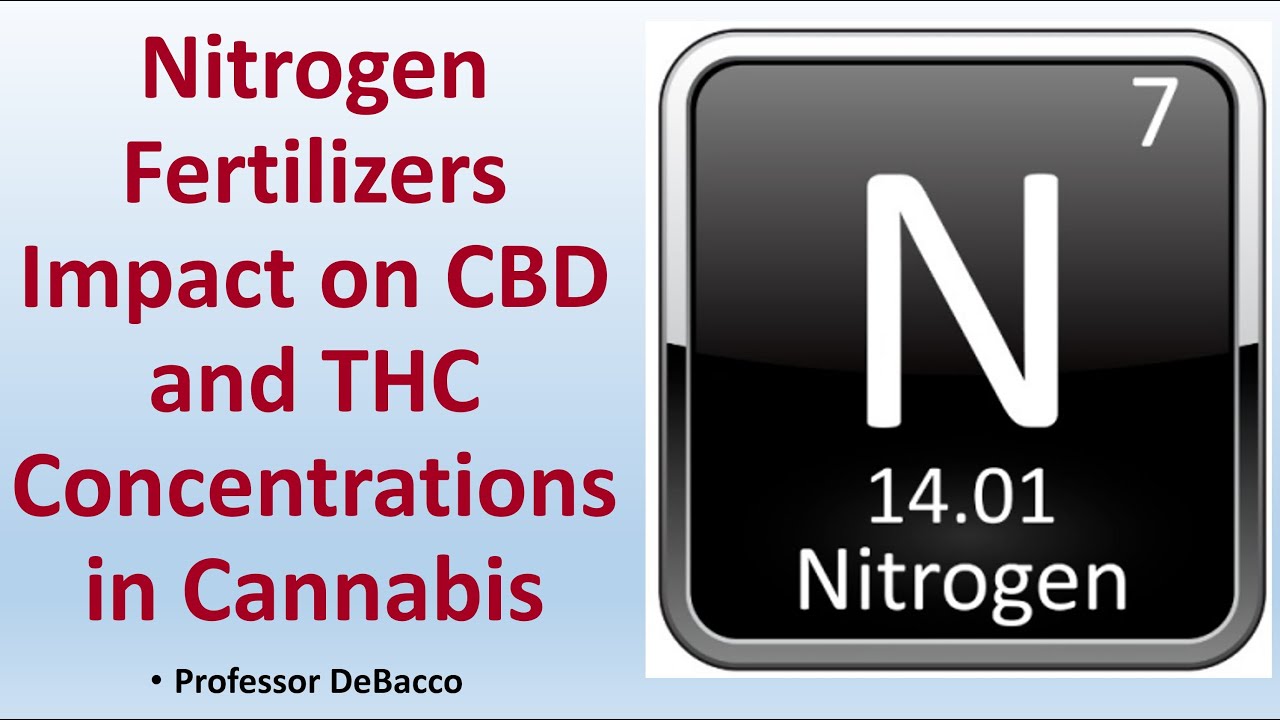 Nitrogen Fertilizers Impact on CBD and THC Concentrations in Cannabis