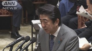 安倍総理　「唯一の解決策だ」　辺野古移設で(15/01/30)