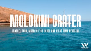 Things To Do In Maui Molokini Crater, Mamas Fish House And More