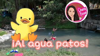 ¡Al agua patos! 🐳