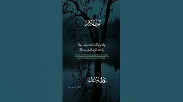 #سید_سعید #سورة_يوسف #قرآن #quran #اللهم_صل_وسلم_على_نبينا_محمد #duet #اكسبلور #trending #duet