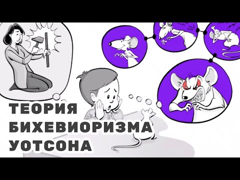 Видео: Как теория бихевиоризма рассматривает ребенка?