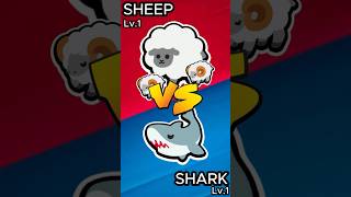 sheep Vs. shark | bracket battles SAP