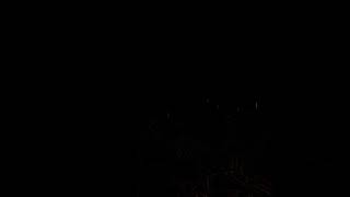 DCS Night time FLAK