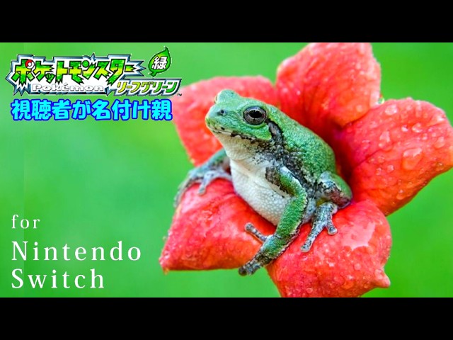 sddefault.jpg?v=69a170df